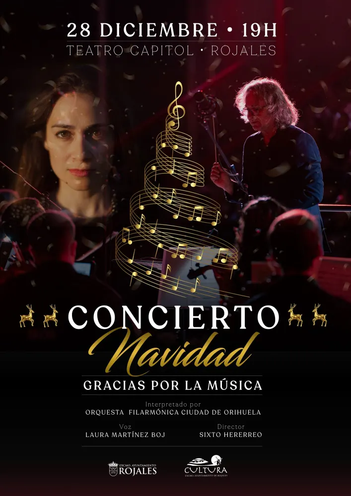 Carteles de conciertos — imagen 2