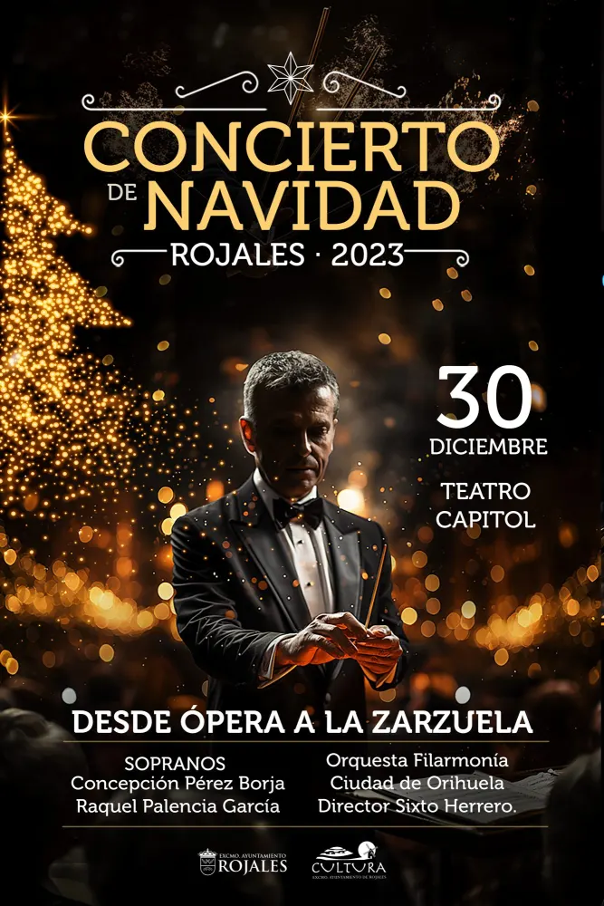 Carteles de conciertos — imagen 1